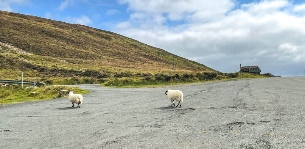 Irish Road Trip