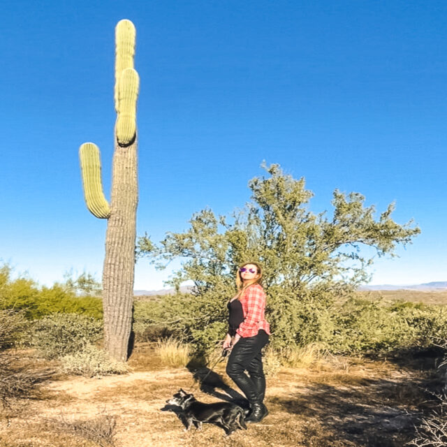 Best things to do in Scottsdale
