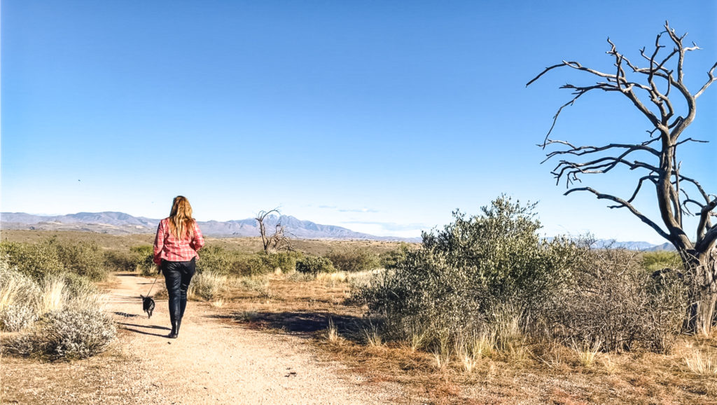 McDowell Mountain Regional Park