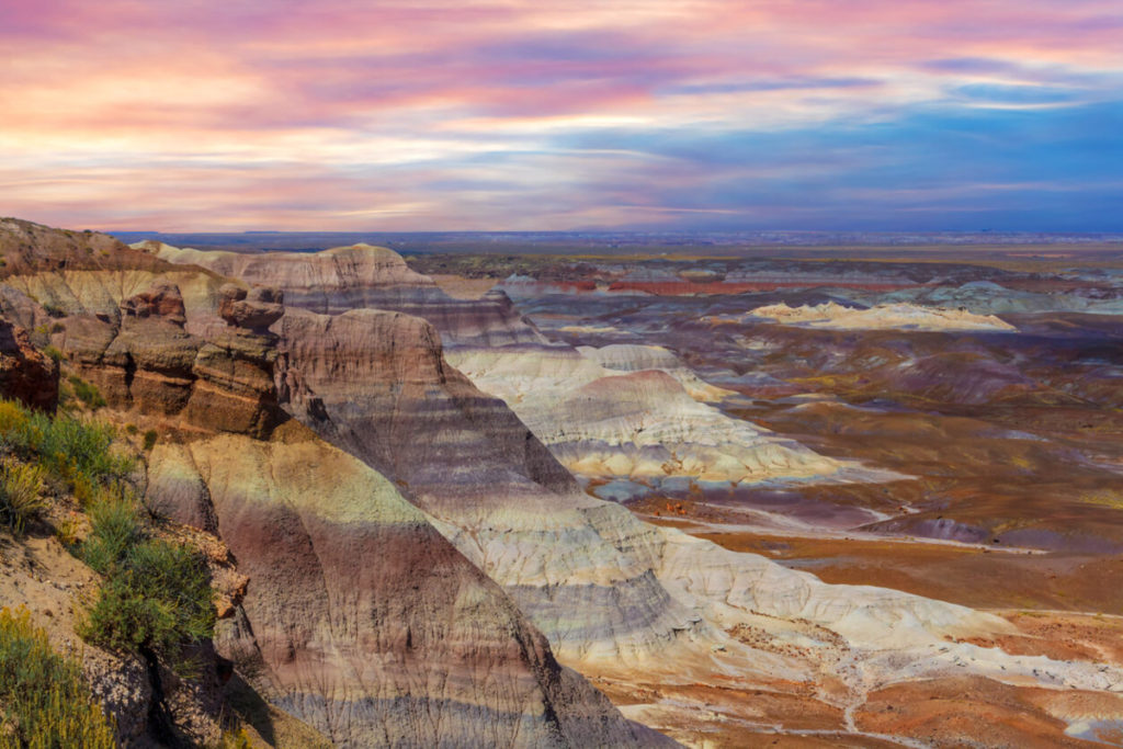 Petrified Forest National Park