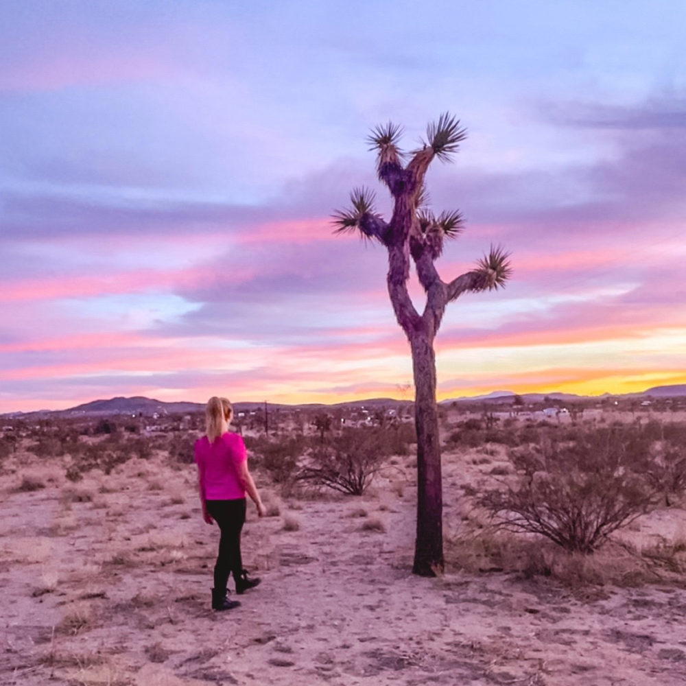 Best time to visit Joshua Tree