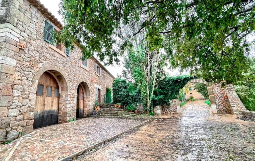 Olive Oil Tasting in Palma de Mallorca