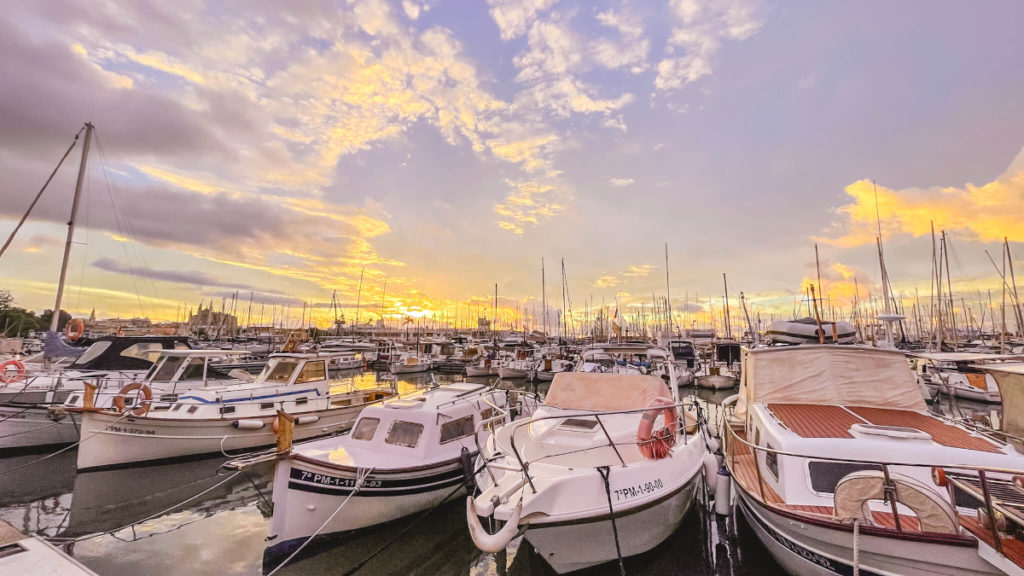 Palma Marina