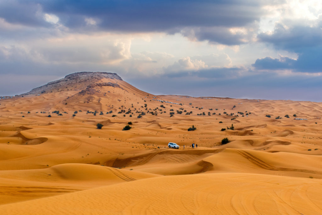 Dubai Desert Safari