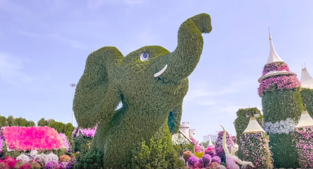 Elephant at Dubai Miracle Garden 