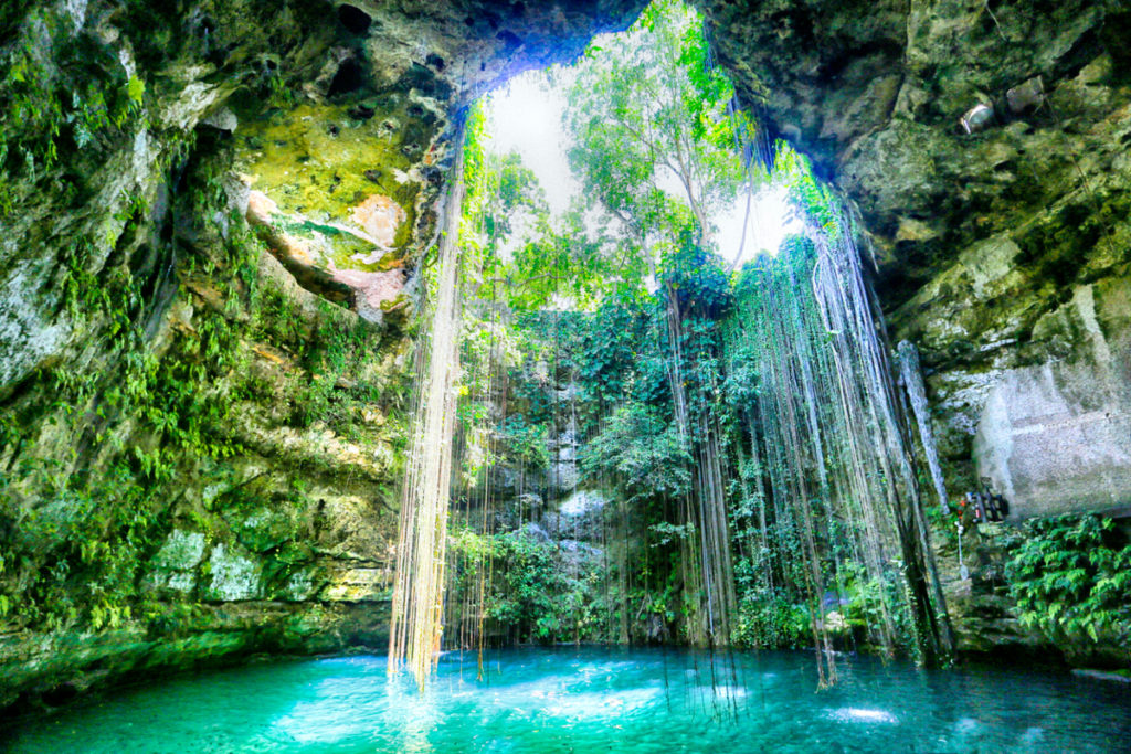 Cenote Merida Day Tour