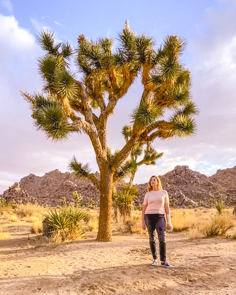 Joshua Tree