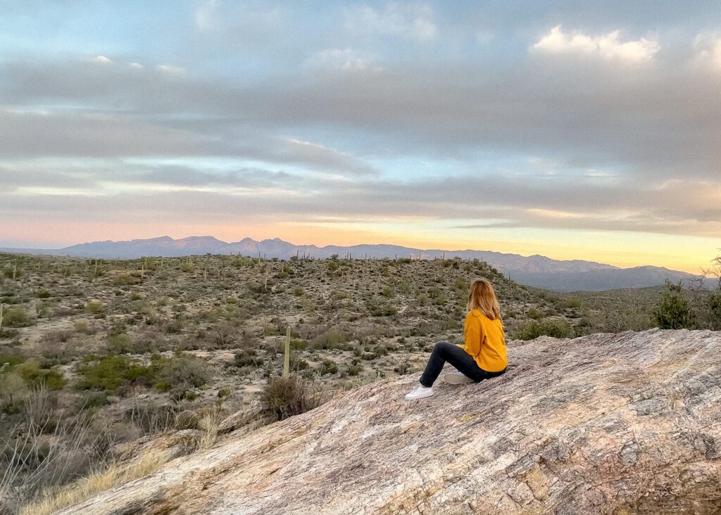 One Day in Saguaro National Park