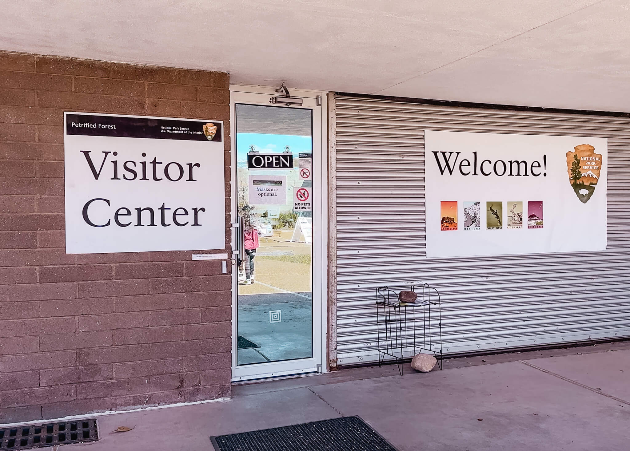 Things to do in Petrified Forest National Park - Rock a Little Travel