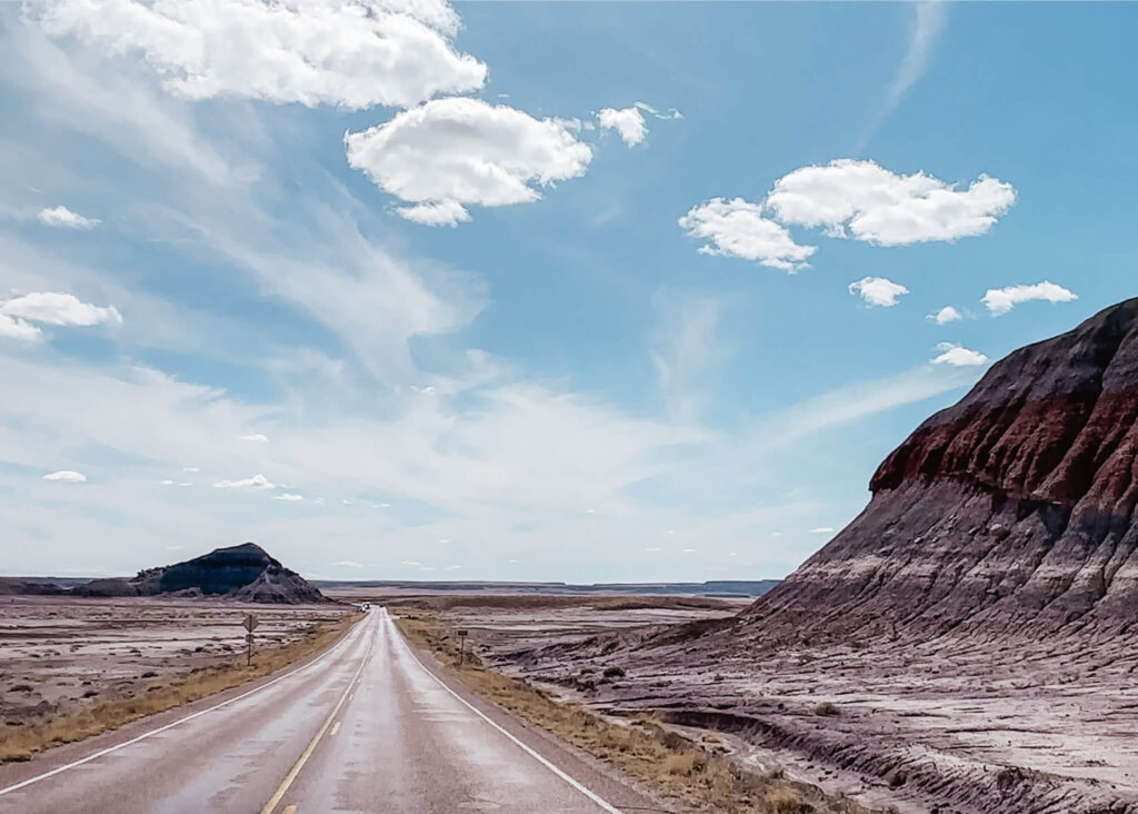 Petrified Forest National Park Road Trip