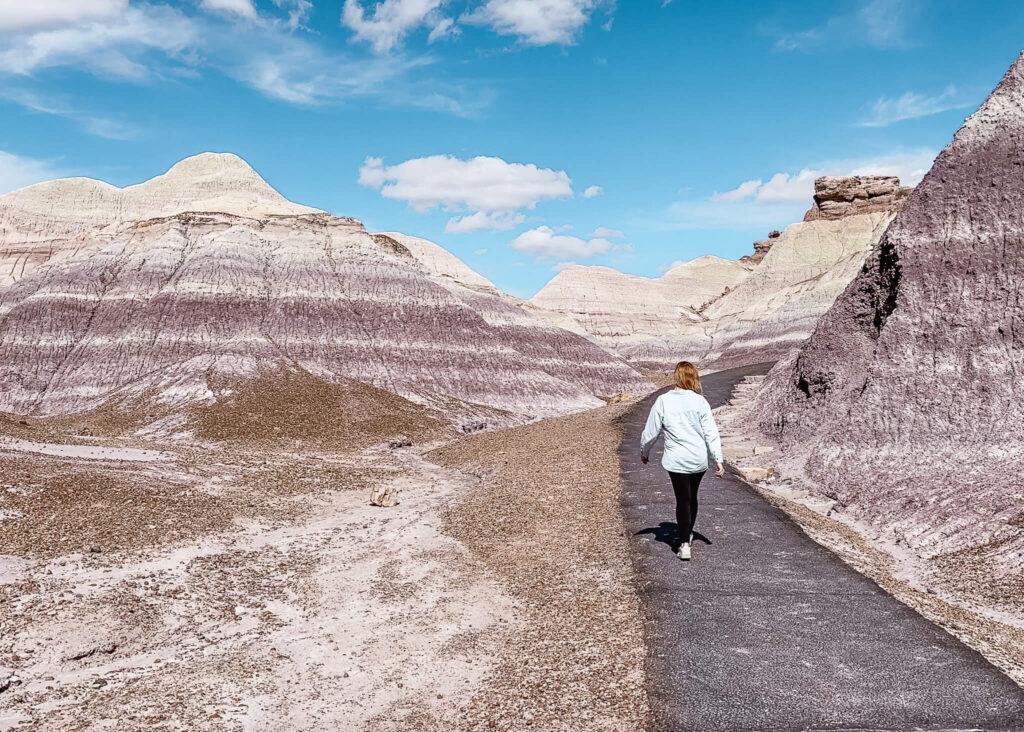 Things to do at Petrified Forest NP