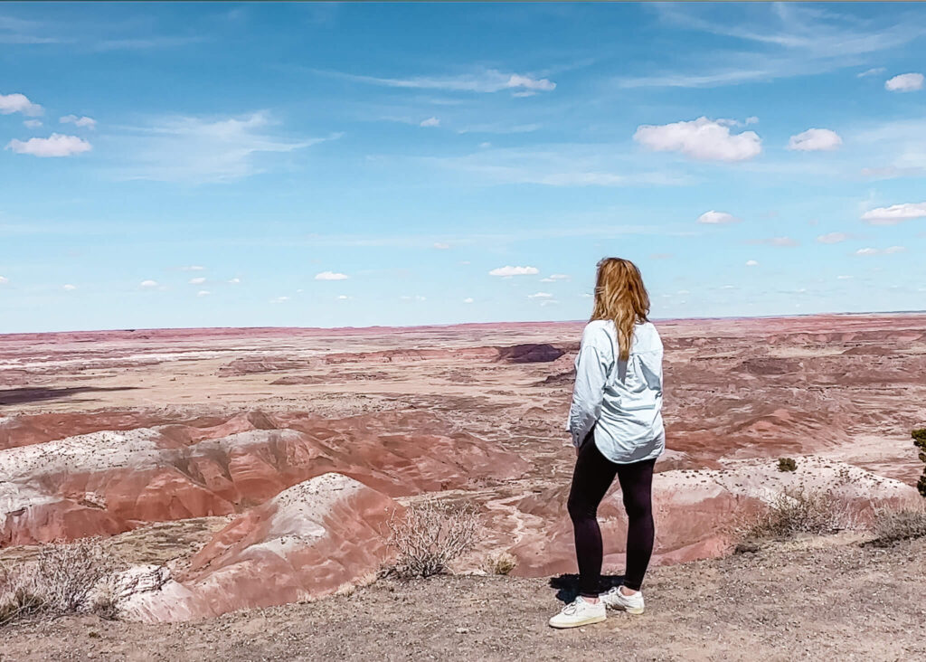 Things to do in Petrified Forest National Park