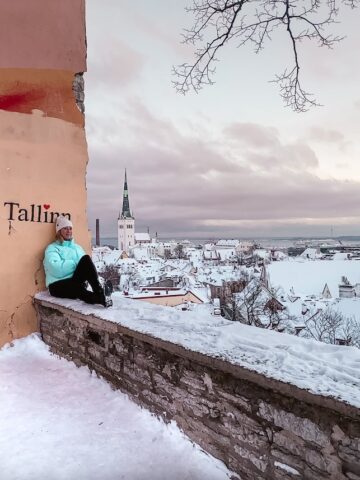One Day in Tallinn